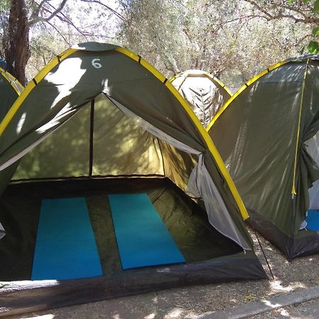 מלון פארוס Camping Koula מראה חיצוני תמונה